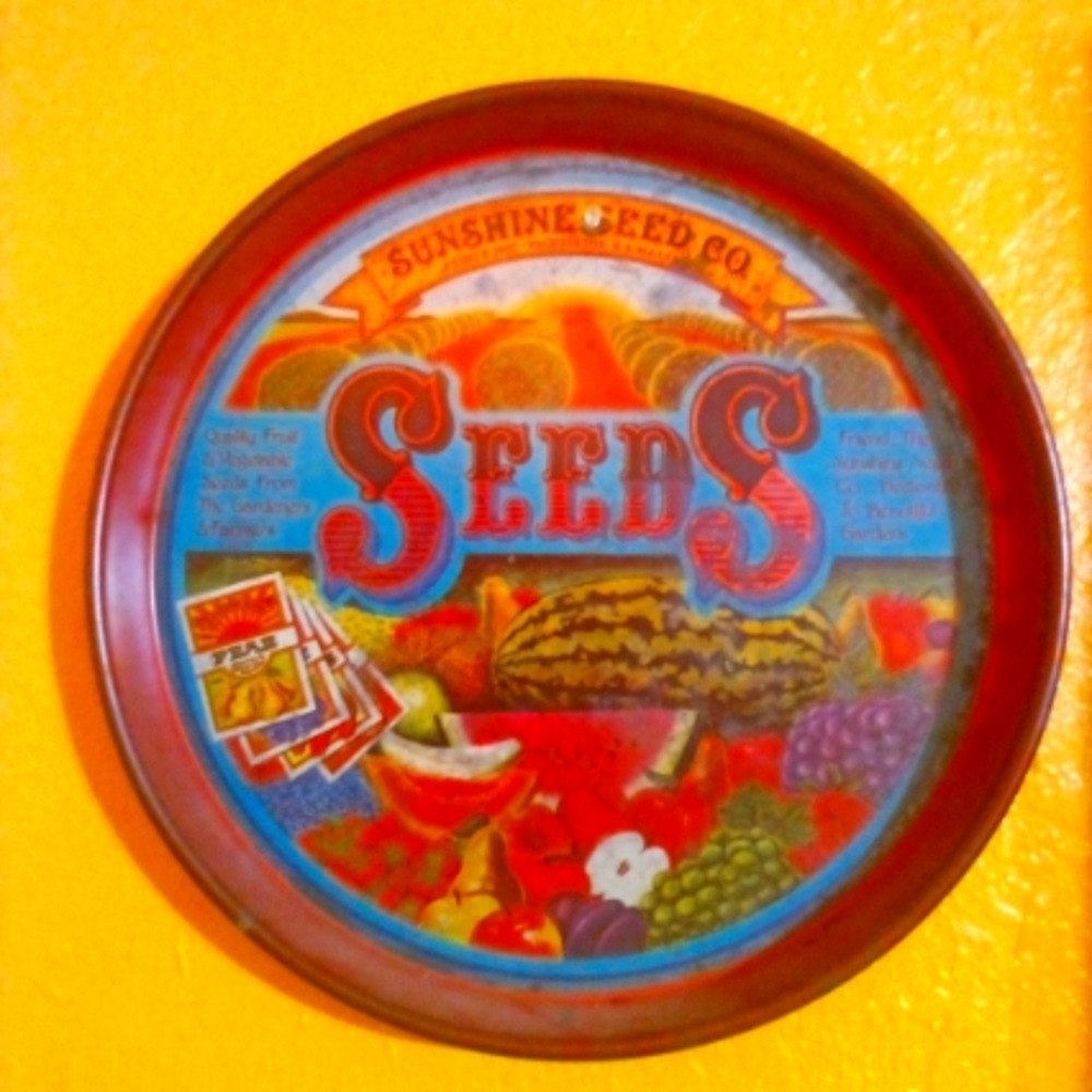 Tin serving tray